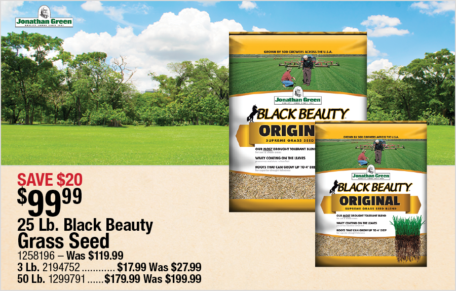 25 Lb. Black Beauty Grass Seed